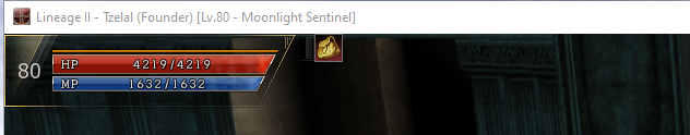 Window title bar showing a character name, level and class